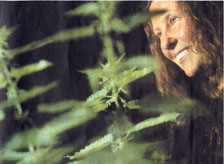 Vorschaubild Stuttgarter Zeitung 22. Juni 2006 